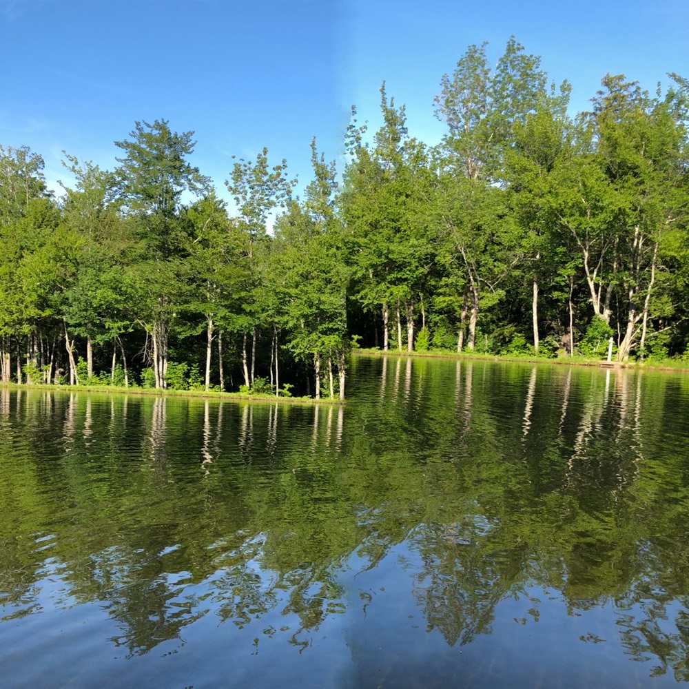 Meet your Posher, Abigail